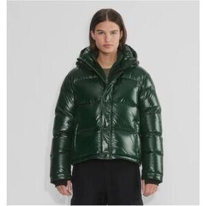 Aritzia Super Puff Jacket Womens XS Shorty Liquid Shine Hooded Puffer Goose Down